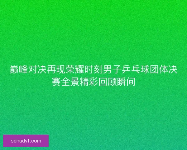 巅峰对决再现荣耀时刻男子乒乓球团体决赛全景精彩回顾瞬间