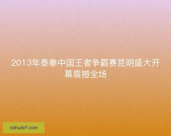 2013年泰拳中国王者争霸赛昆明盛大开幕震撼全场